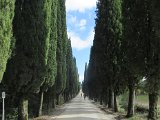 Chianti-1 2016 - 062.jpg